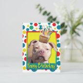 Birthday Cupcake - Pitbull - Jersey Girl Postkarte (Stehend Vorderseite)