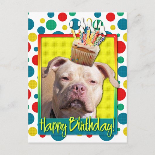 Birthday Cupcake - Pitbull - Jersey Girl Postkarte (Vorderseite)