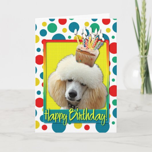 Birthday Cupcake - Poodle - Apricot Karte (Vorderseite)