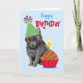 Birthday Cupcake Schipperke Karte (Vorderseite)