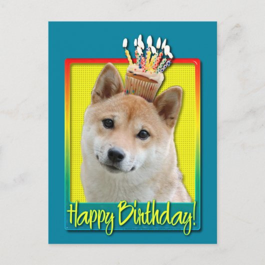 Birthday Cupcake - Shiba Inu Postkarte (Vorderseite)