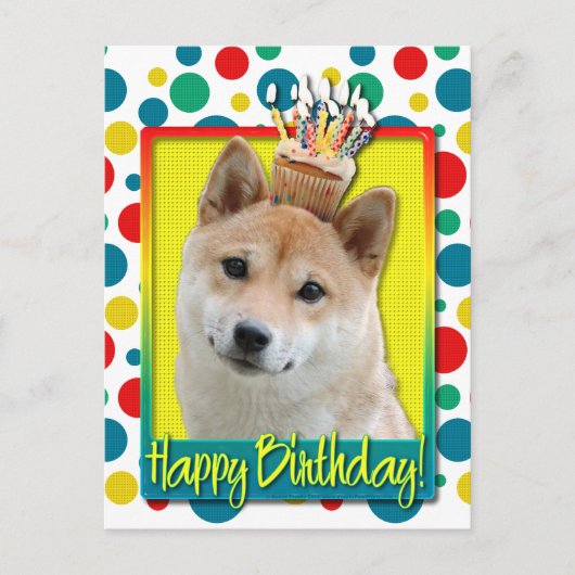 Birthday Cupcake - Shiba Inu Postkarte (Vorderseite)