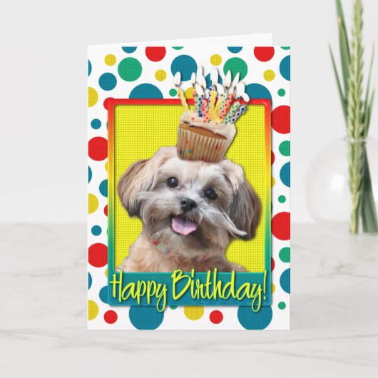 Birthday Cupcake - ShihPoo - Maggie Karte (Vorderseite)