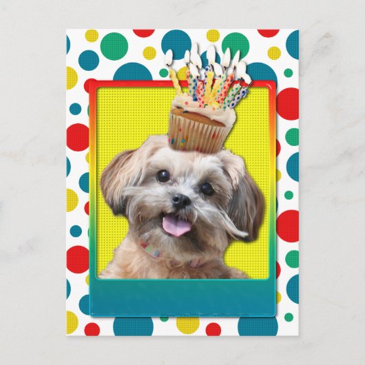 Birthday Cupcake - ShihPoo - Maggie Postkarte (Vorderseite)