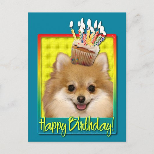 Birthday Cupcake Spitz Postkarte (Vorderseite)