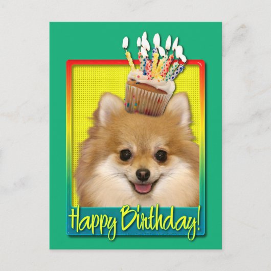 Birthday Cupcake Spitz Postkarte (Vorderseite)