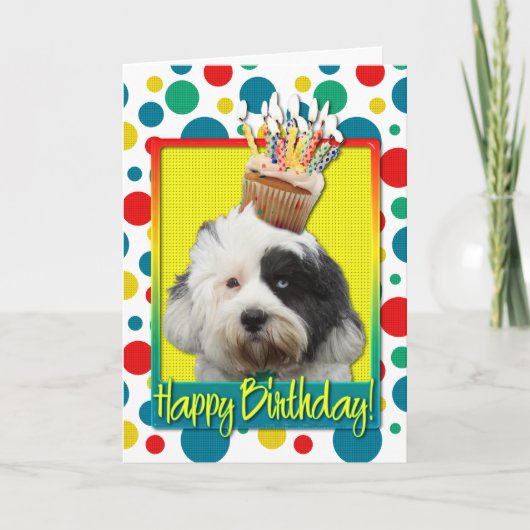 Birthday Cupcake - Tibetan Terrier Karte (Vorderseite)