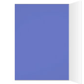 Birthday Daisy Bouquet in Lila Sneakers (Innen (Links))