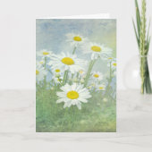 Birthday Daisy Field Karte (Vorderseite)