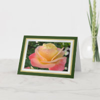 Birthday.Daughter.Yellow-pinkish Rose mit Tau
