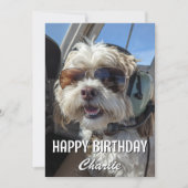 Birthday Dog Pilot Aviator Sunglasses Plane Funny Karte (Vorderseite)