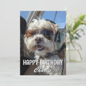 Birthday Dog Pilot Aviator Sunglasses Plane Funny Karte (Stehend Vorderseite)