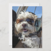 Birthday Dog Pilot Aviator Sunglasses Plane Funny Karte (Vorderseite)