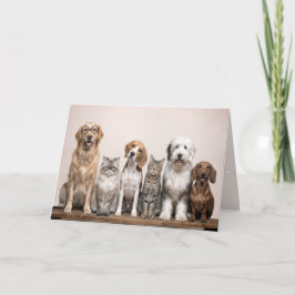 Birthday Dogs and Cats  Karte