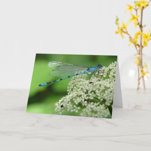 Birthday Dragonfly Karte (Gelbe Blume)