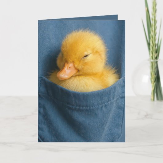 Birthday Duckling In a Blue T-shirt Pocket Karte (Vorderseite)