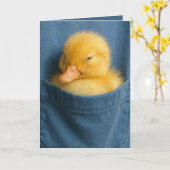Birthday Duckling In a Blue T-shirt Pocket Karte (Gelbe Blume)