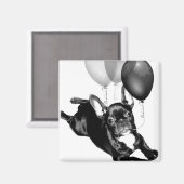 Birthday French Bulldog-Magnet Magnet (Vorderseite/Rückseite)