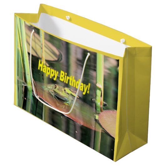 Birthday Frog Große Geschenktüte (Vorderseite Schrägansicht)