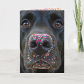 Birthday Fun Black Lab Hund mit Sprinklen Karte (Vorderseite)