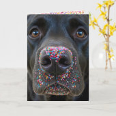 Birthday Fun Black Lab Hund mit Sprinklen Karte (Gelbe Blume)
