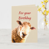 Birthday Fun Funny Sheep Animal Humor Karte (Gelbe Blume)