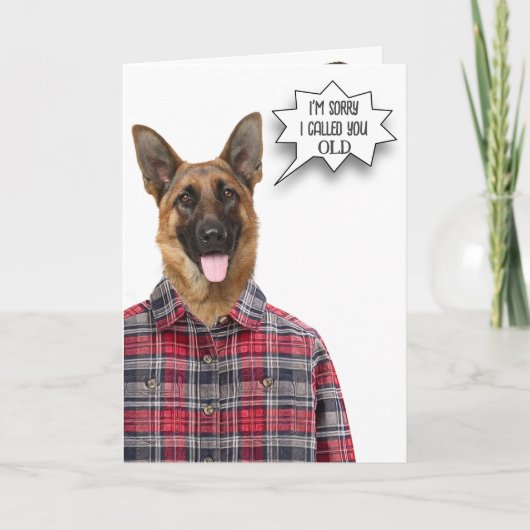 Birthday German Shepherd Hunde Humor Karte (Vorderseite)