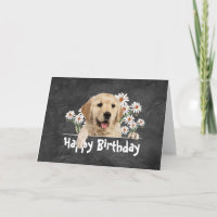 Birthday Golden Retriever auf Leder
