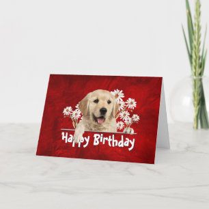 Birthday Golden Retriever auf Red Leather Karte