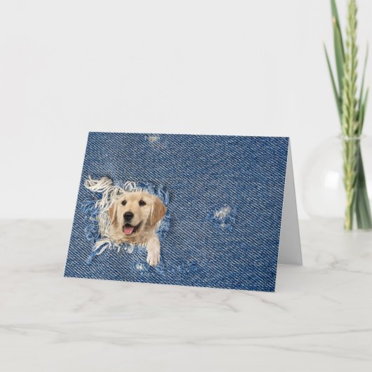 Birthday golden retriever in denim hole karte (Vorderseite)