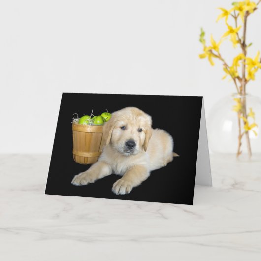 Birthday Golden Retriever mit Äpfeln Karte (Gelbe Blume)