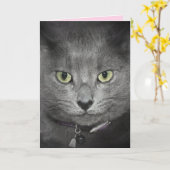 Birthday Gray Cat Spaß Karte (Gelbe Blume)
