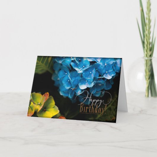 Birthday Greeting Card Karte (Vorderseite)