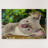 Birthday Greetings Australian Koalas Puzzle (Horizontal)