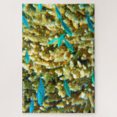 Birthday Greetings Coral Reef Australien Puzzle (Vertikal)