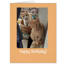 Birthday Greetings Ginger Cats