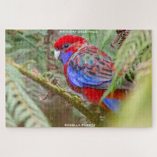 Birthday Greetings Rosella Parrot Puzzle (Horizontal)