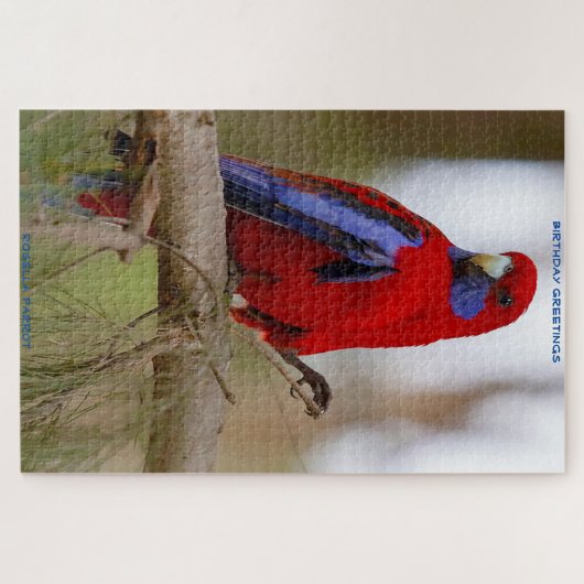 Birthday Greetings Rosella Parrot Puzzle (Horizontal)
