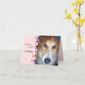 Birthday Gruß Border Collie Karte (Gelbe Blume)