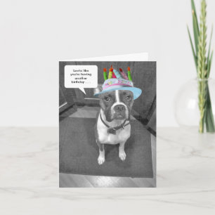 Birthday Hat Brindle Boxer Karte