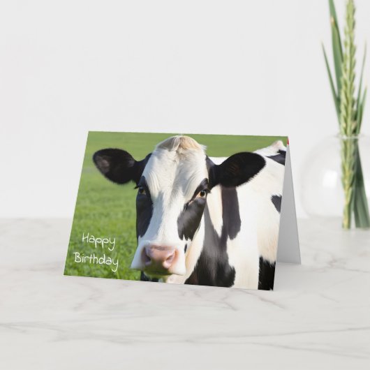 Birthday Holstein Cow Spaß Karte (Vorderseite)