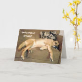 Birthday Hound Dog Karte (Gelbe Blume)