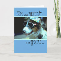 Birthday Hund in Sonnenbrille, humorvoll