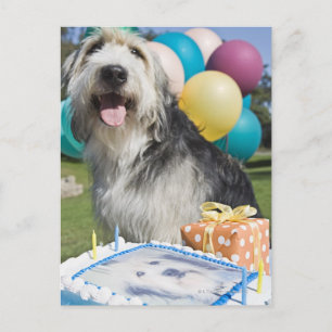 Birthday Hund Postkarte