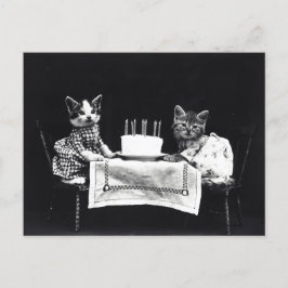 Birthday Kittens Postkarte