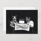 Birthday Kittens Postkarte (Vorne/Hinten)