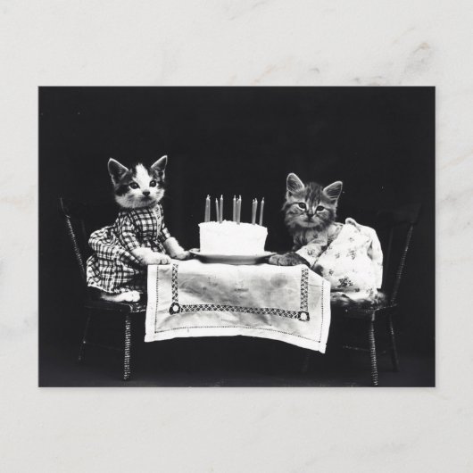 Birthday Kittens Postkarte (Vorderseite)