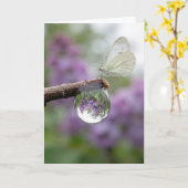 Birthday Lilacs Reflecting in a Raindrop  Karte (Gelbe Blume)