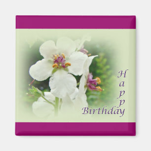 Birthday Moth Mullein Wildblume Magnet
