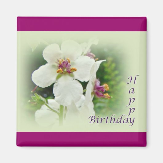 Birthday Moth Mullein Wildblume Magnet (Vorne)